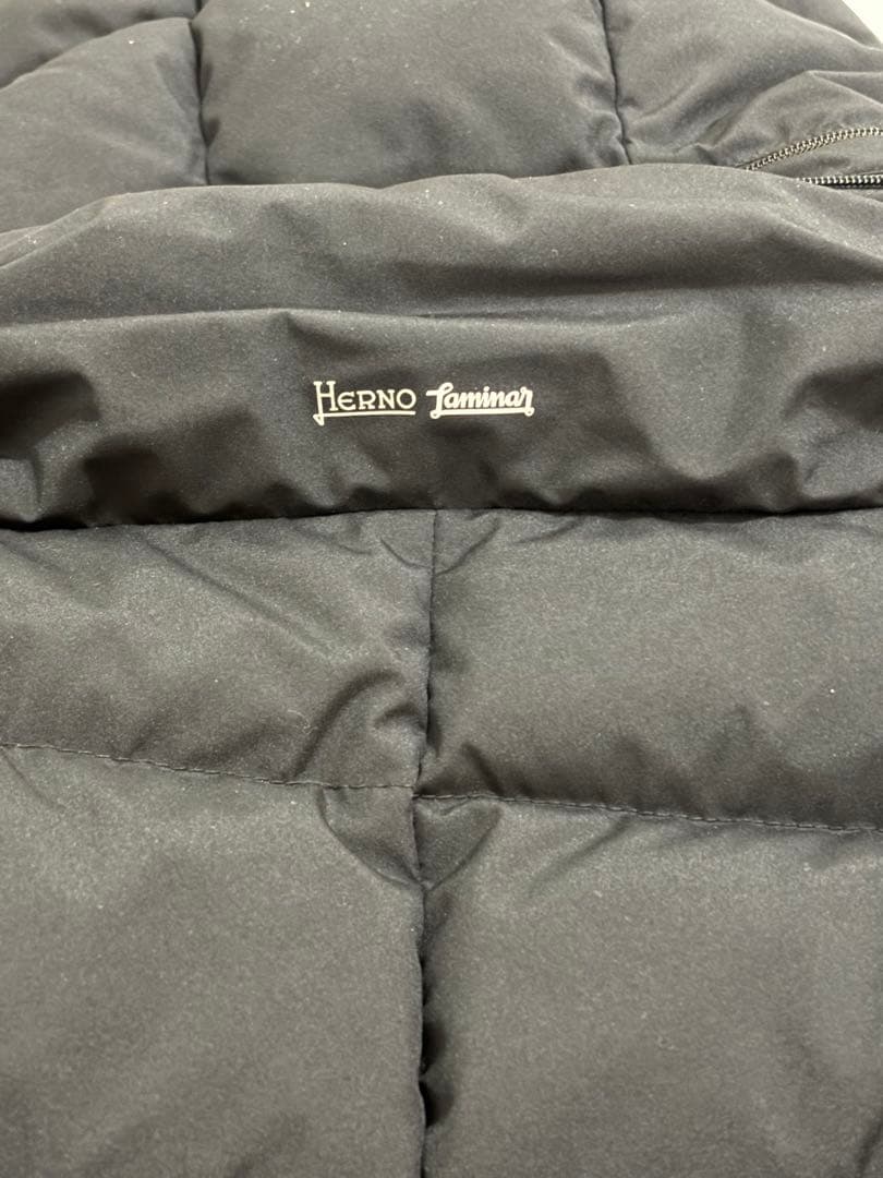 Herno Laminer GORE-TEXダウン　ブラック40 PI080DL