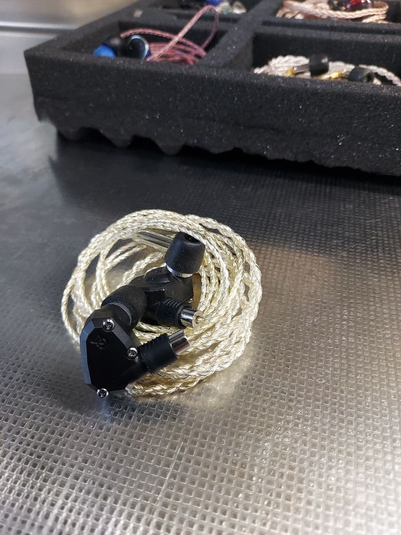 446　イヤホン11本 セット　ハードケース、cayin n5 ii 付き