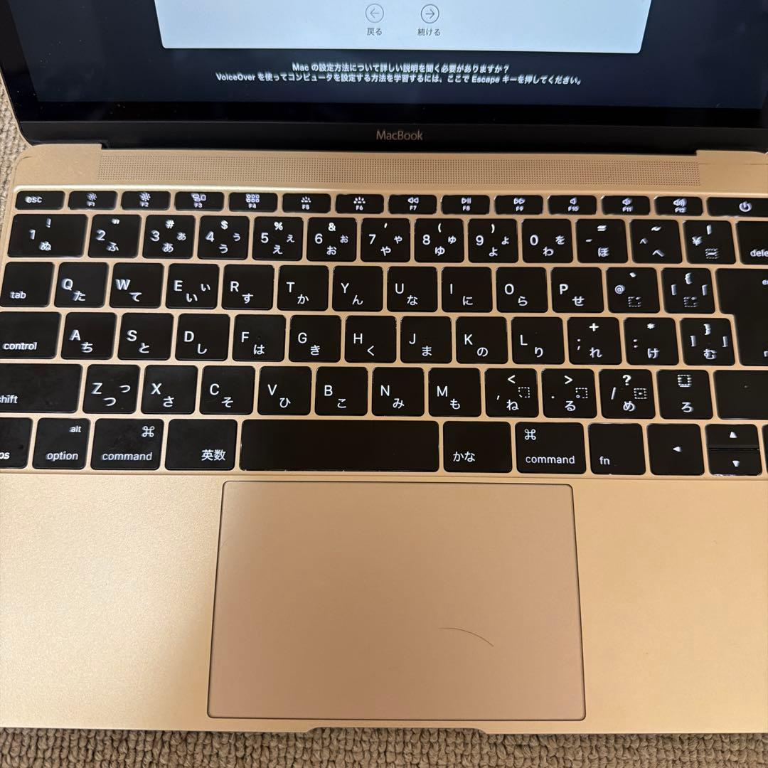 A*a様 MacBook Retina, 12inch, 2015, SSD51