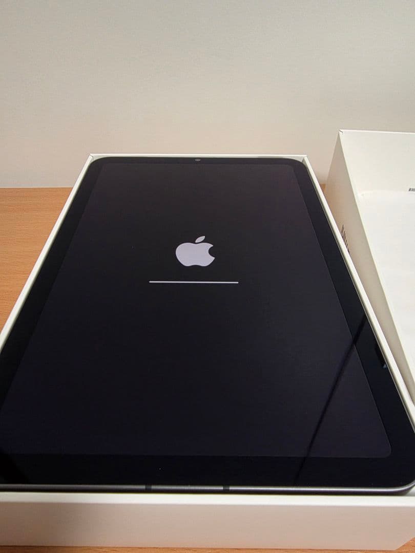 iPad mini 第6世代 256GB セルラー SIMフリー