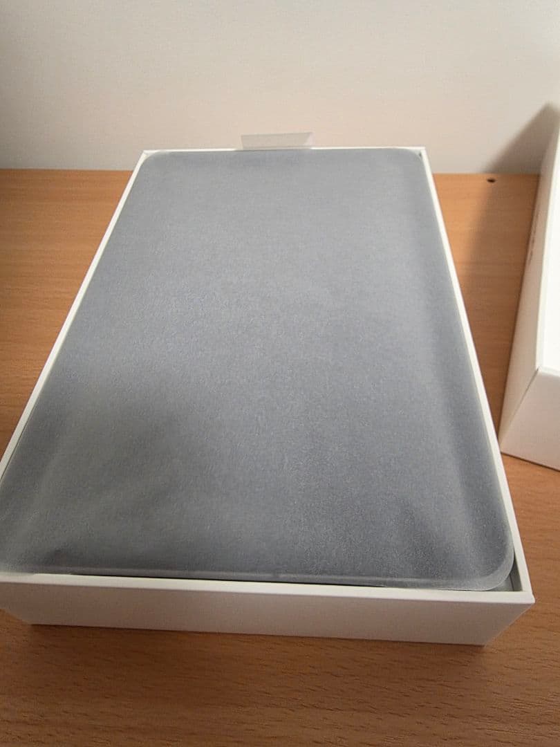 iPad mini 第6世代 256GB セルラー SIMフリー