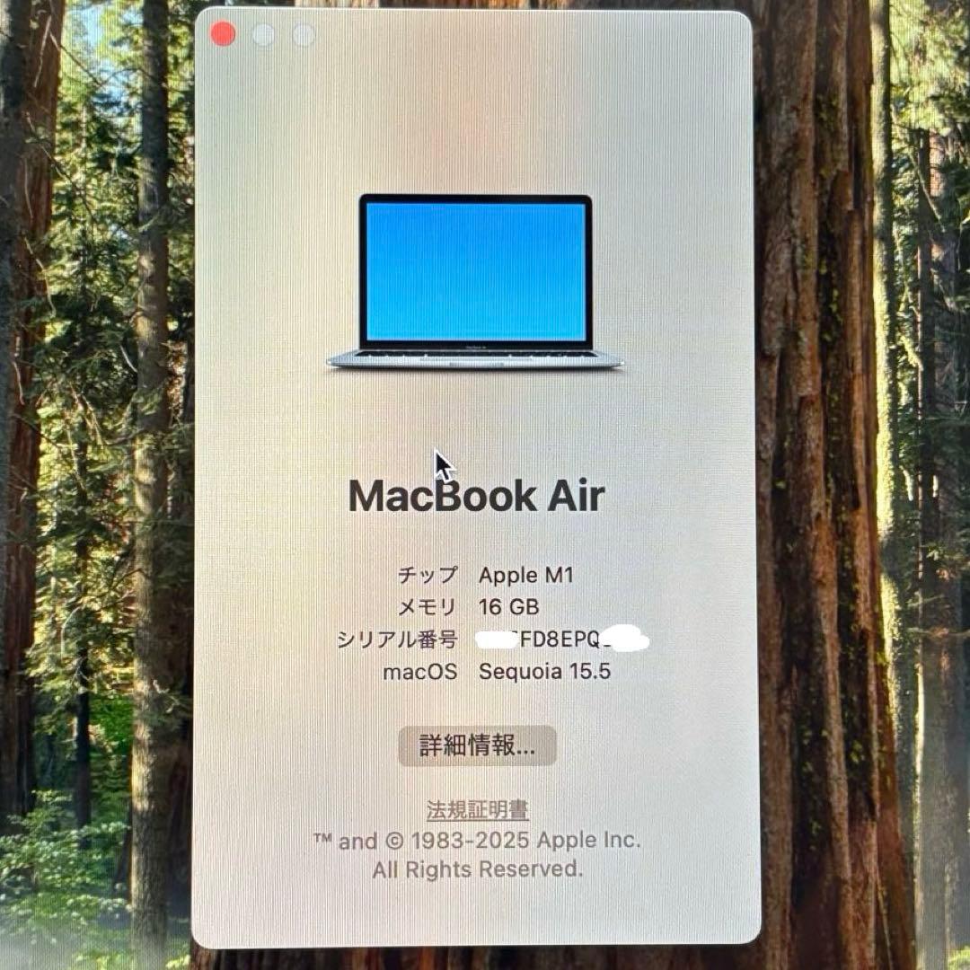 【最大容量92%】Mac book Air M1 16GB 512GB