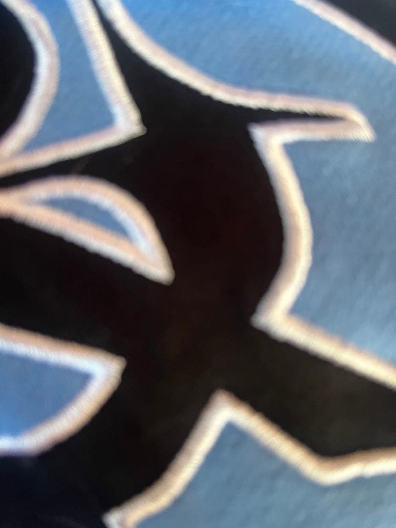 【正規品】punkandyoパーカー s fti