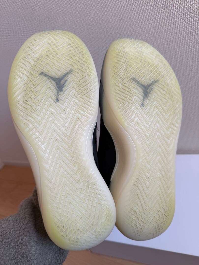 AIR JORDAN TYPE 39 エアージョーダンRNWY PF【26cm】