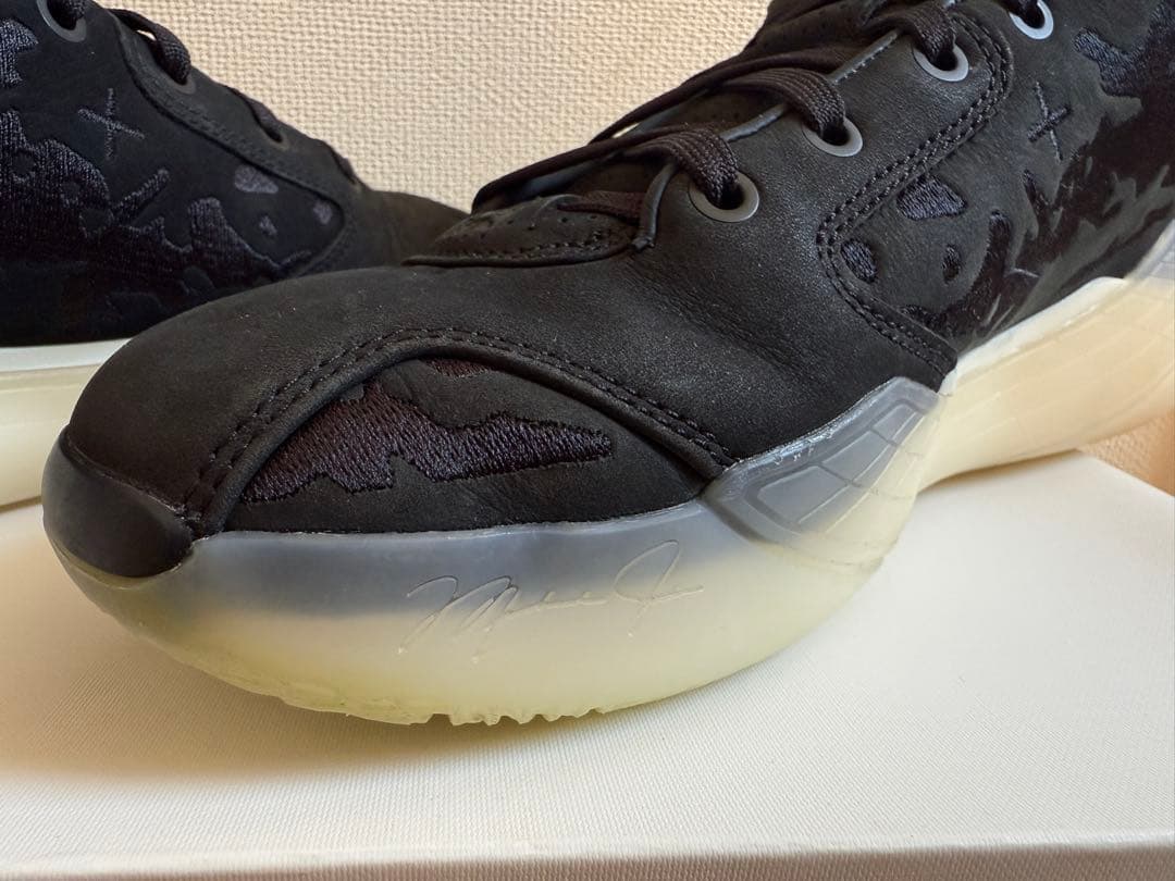 AIR JORDAN TYPE 39 エアージョーダンRNWY PF【26cm】