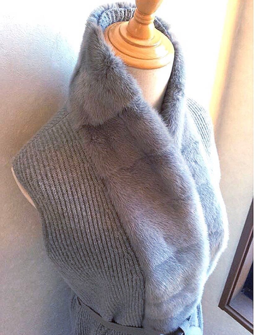 新年お値下げ！定価２２０万ロロピアーナベビーカシミアミンクファーロングジレコート