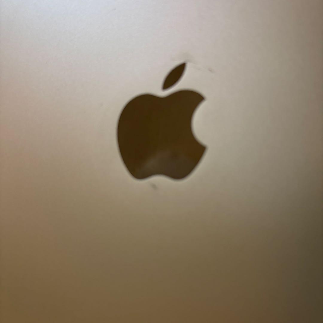 Apple iPad ピンクゴールド 本体