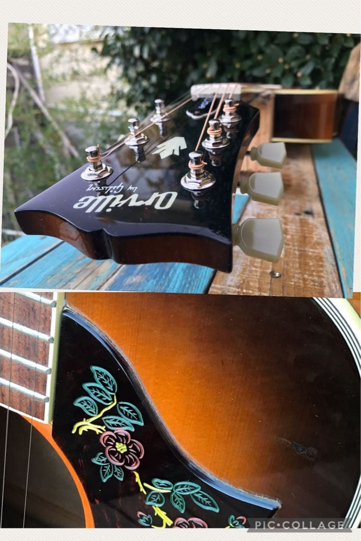 Orville by Gibson DOVE ギブソン