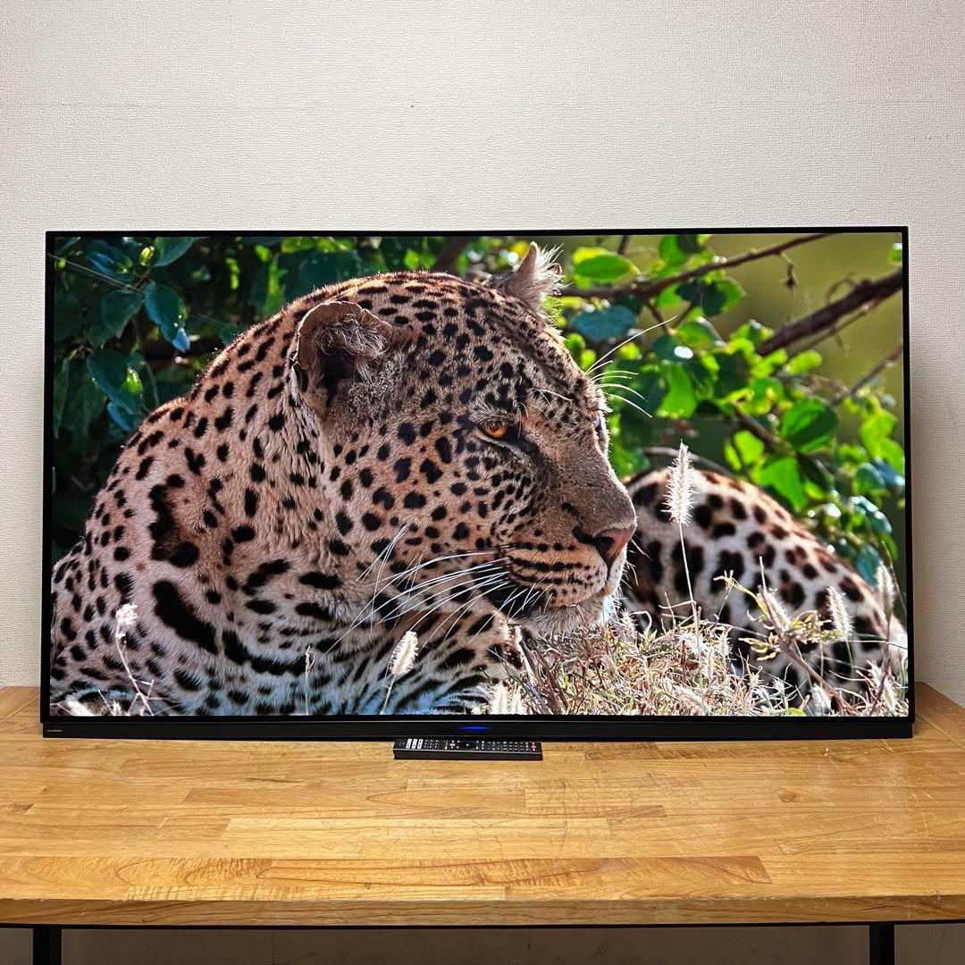FUNAI 65V型 4K 有機ELテレビ FE-65U7030 動画アプリ搭載