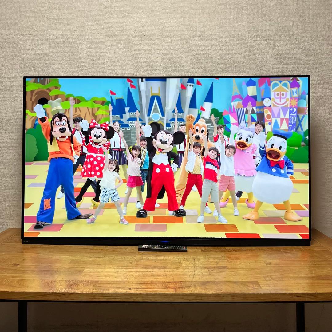 FUNAI 65V型 4K 有機ELテレビ FE-65U7030 動画アプリ搭載