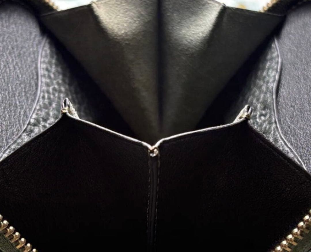 国産ポロサス　スモールクロコダイル firebird ラウンドケース