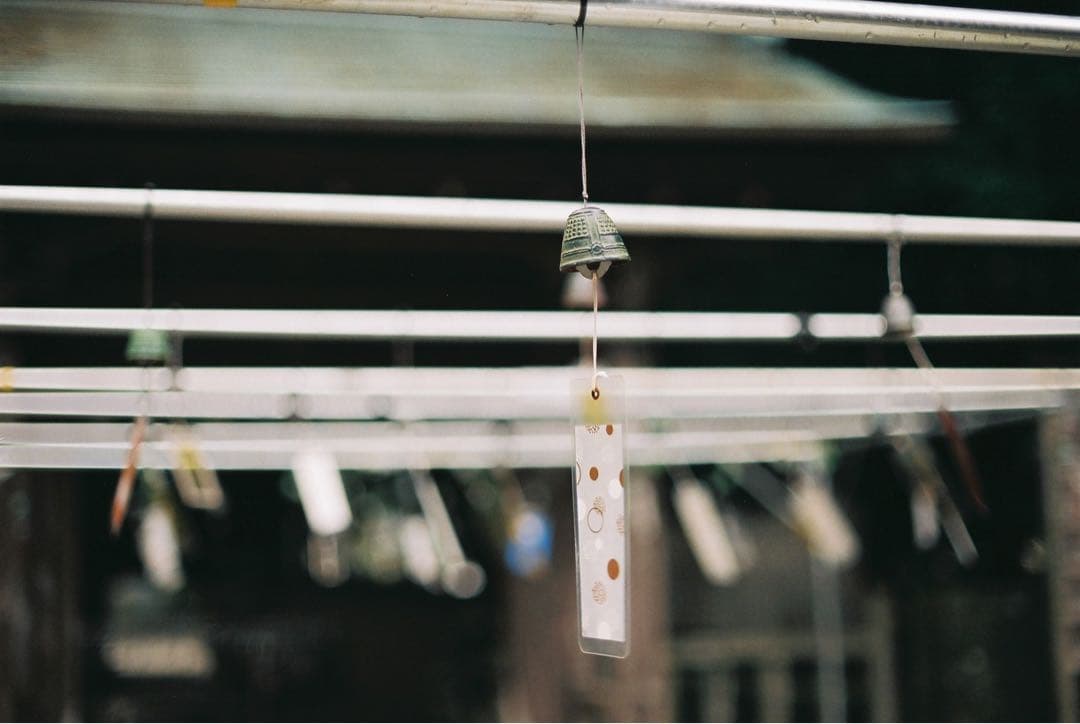 【整備品】CANON 旧F-1 前期　作例あり