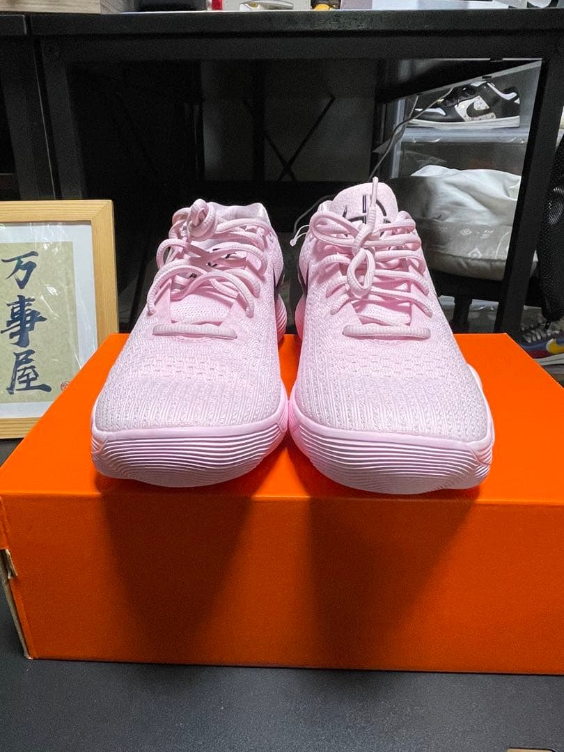 ナイキ ハイパーダンク2017 ロー \"ピンクフォーム/ブラック\"