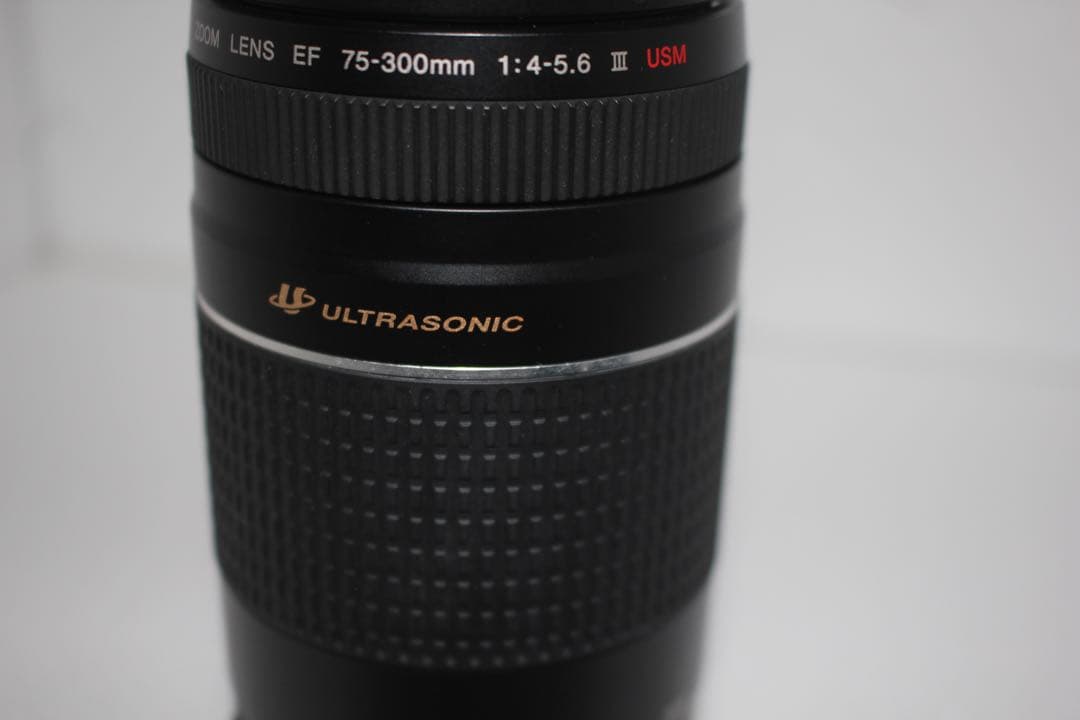 大迫力の300㎜☆イベント☆キャノン Canon EF75-300㎜
