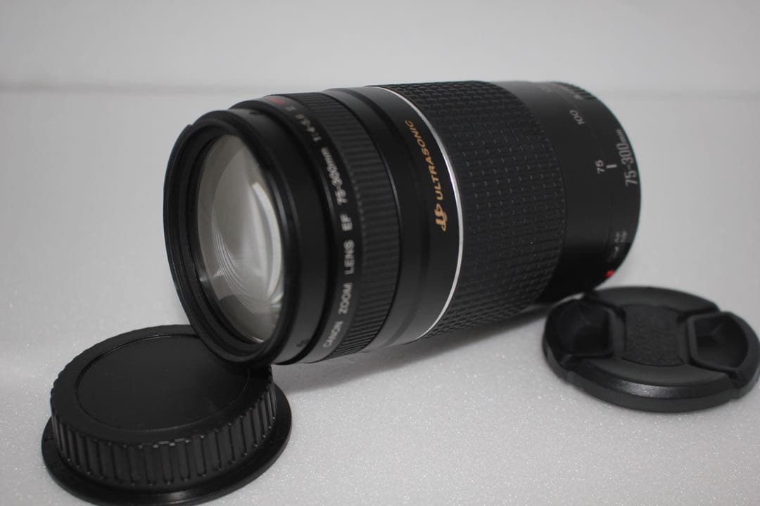 大迫力の300㎜☆イベント☆キャノン Canon EF75-300㎜