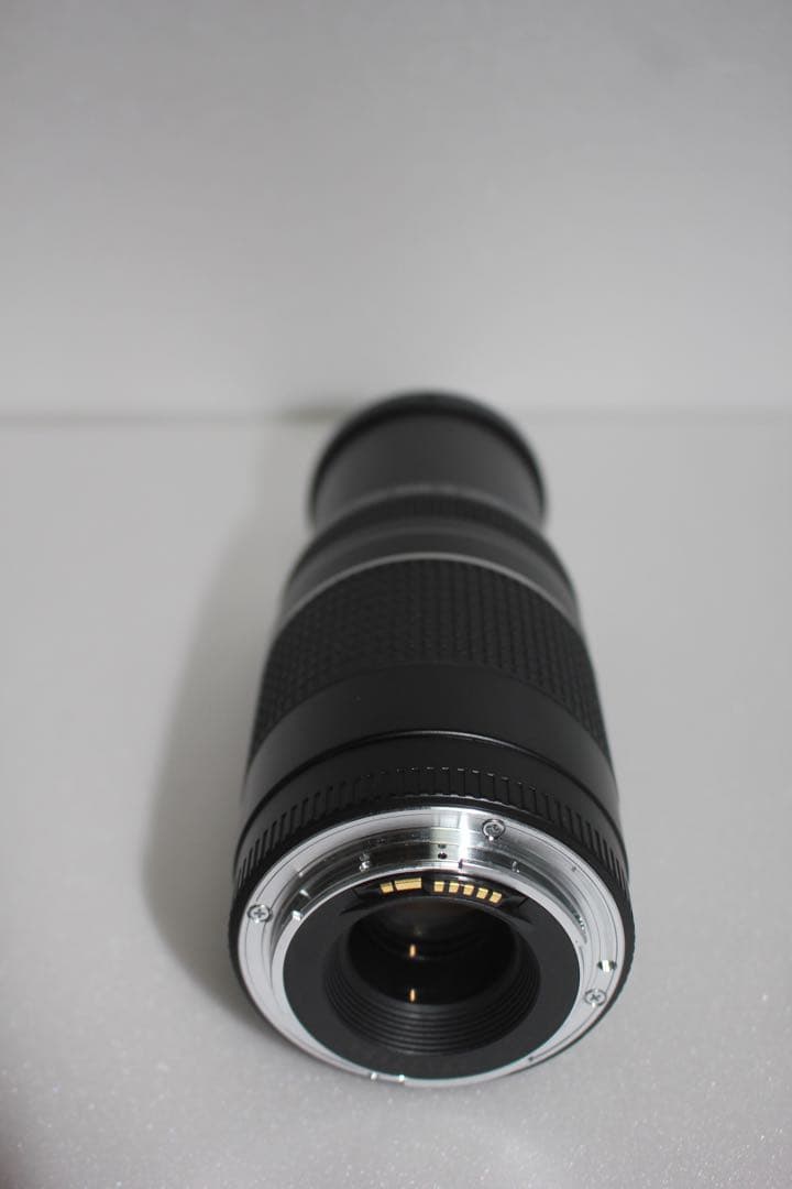 大迫力の300㎜☆イベント☆キャノン Canon EF75-300㎜