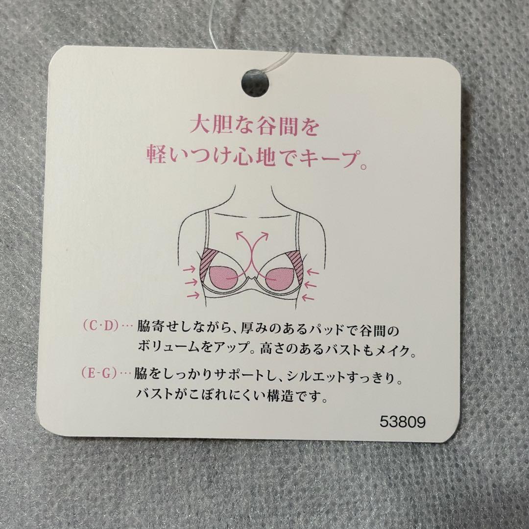 【専用】ワコール　パルファージュ　フロントエックスプラスブラ＆ショーツ　C65