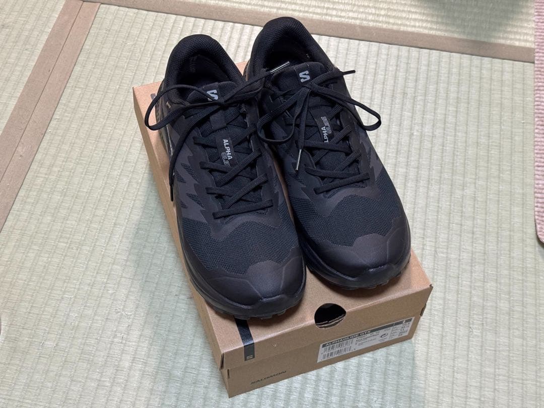 SALOMON(サロモン) ALPHA GLIDE GTX 29.0cm