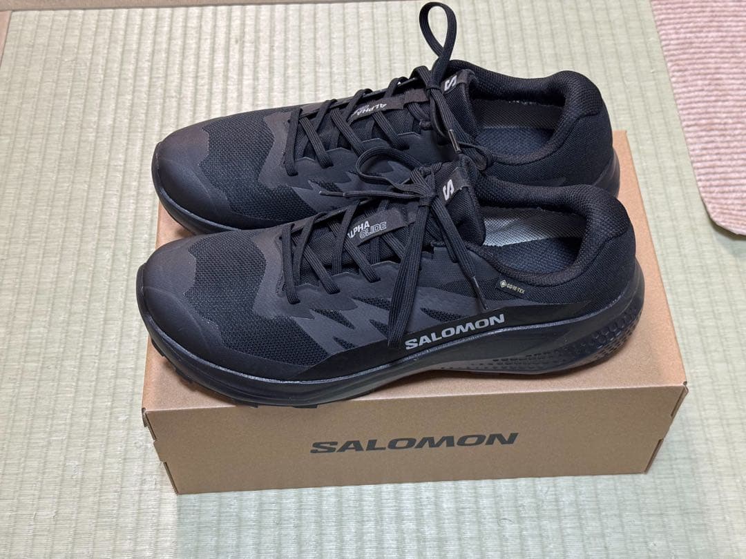 SALOMON(サロモン) ALPHA GLIDE GTX 29.0cm