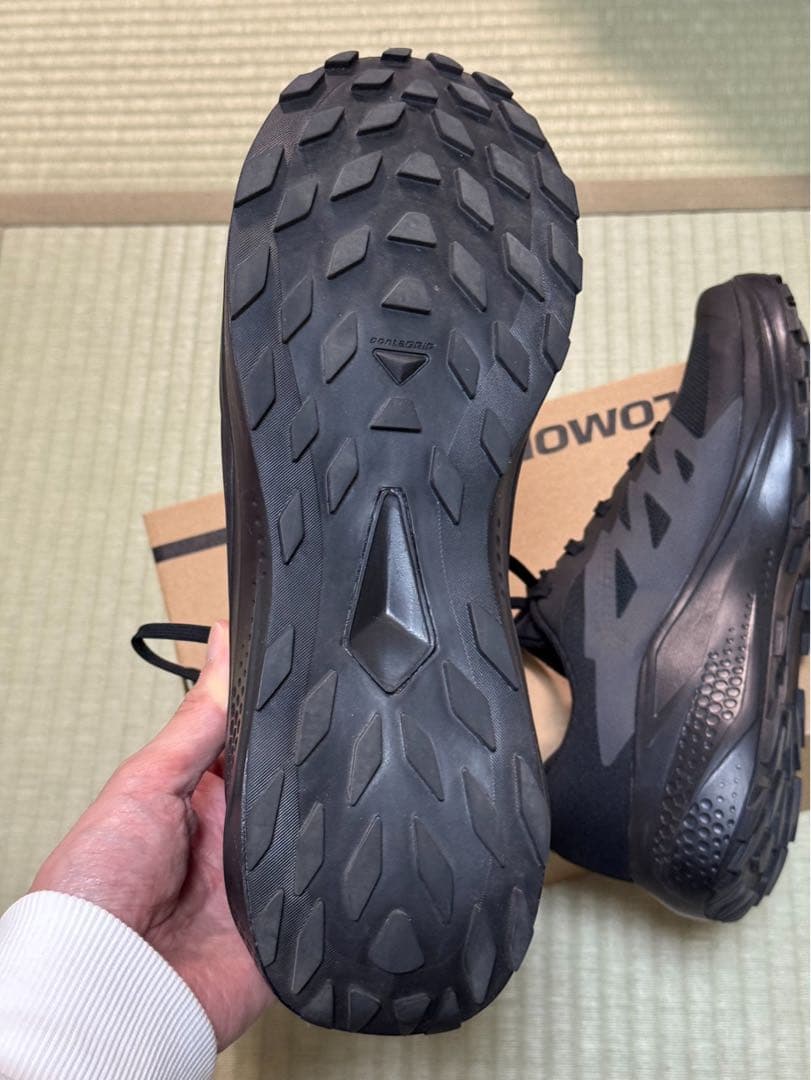 SALOMON(サロモン) ALPHA GLIDE GTX 29.0cm