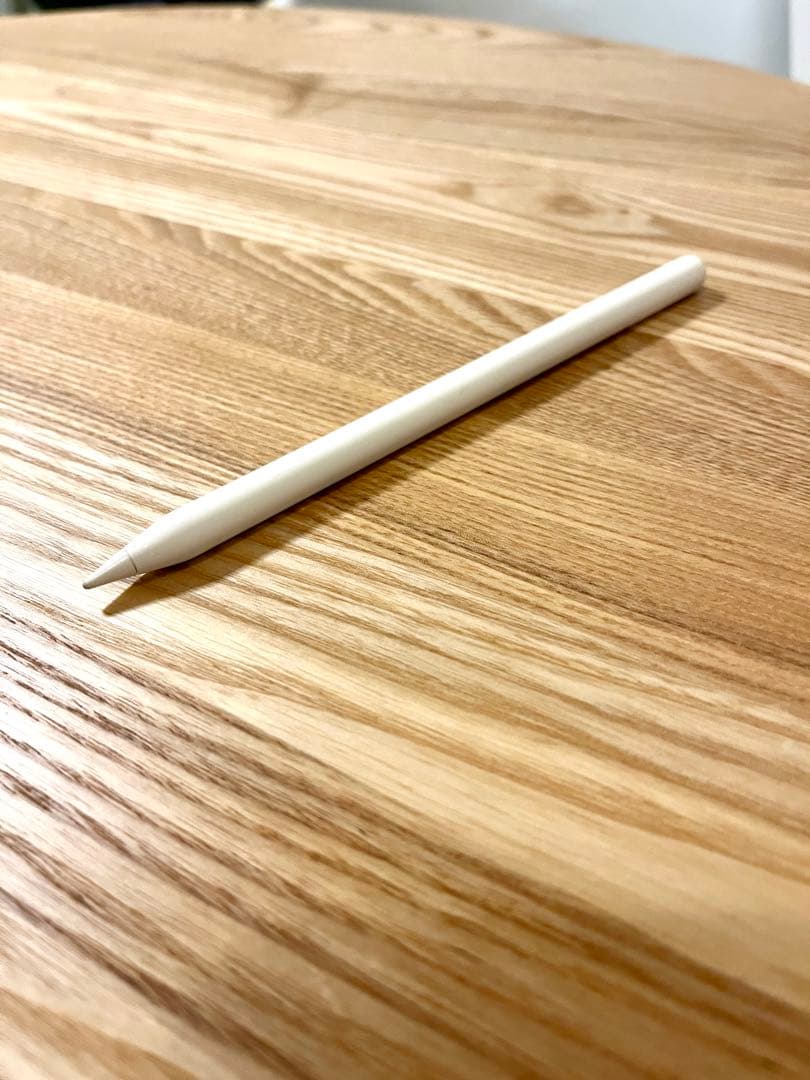 【美品】iPadPro11インチ 第2世代 1TB セルラー バッテリー90%