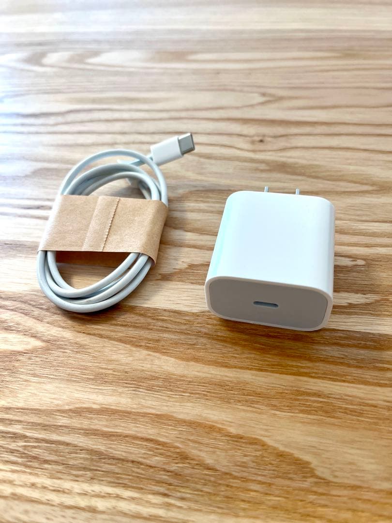 【美品】iPadPro11インチ 第2世代 1TB セルラー バッテリー90%