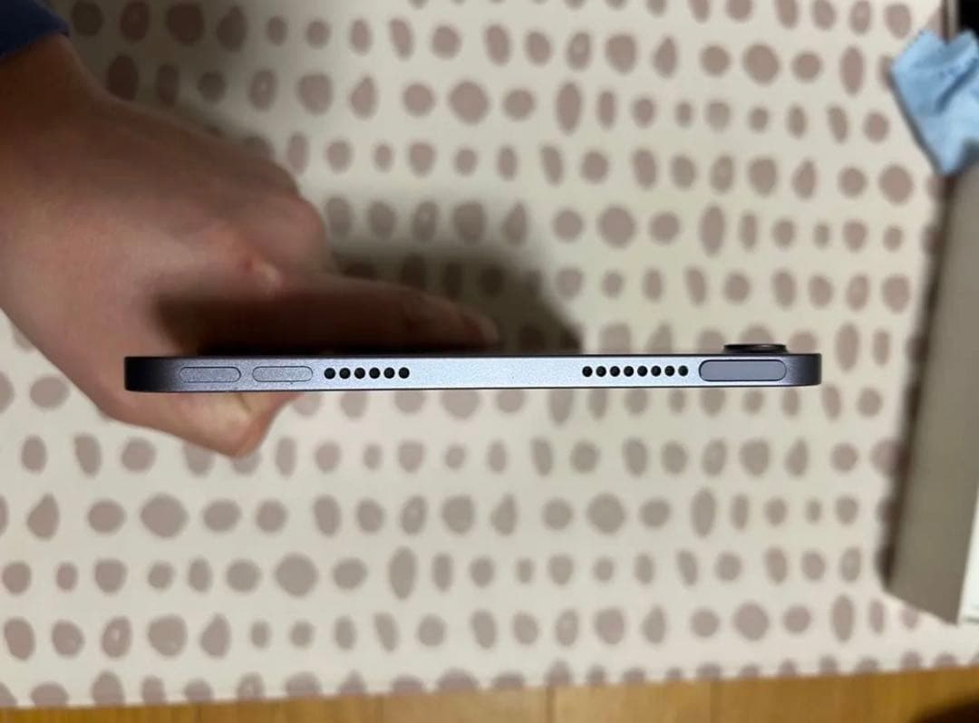 iPad Pro M4 11インチWi-Fi+Cellularモデル ケース付き