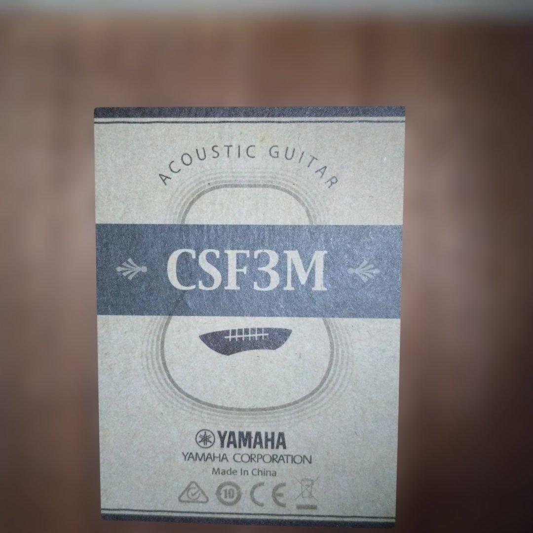 あーりんmama★さん用YAMAHA CSF3M エレアコ 専用ライトケース付