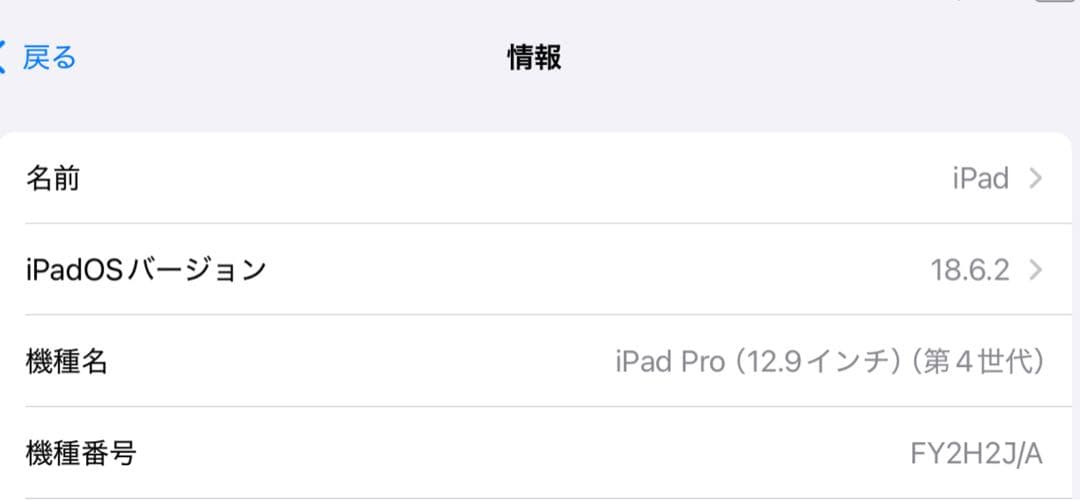 【訳あり】iPad Pro 12.9 第4世代 Wi-Fi 128GB