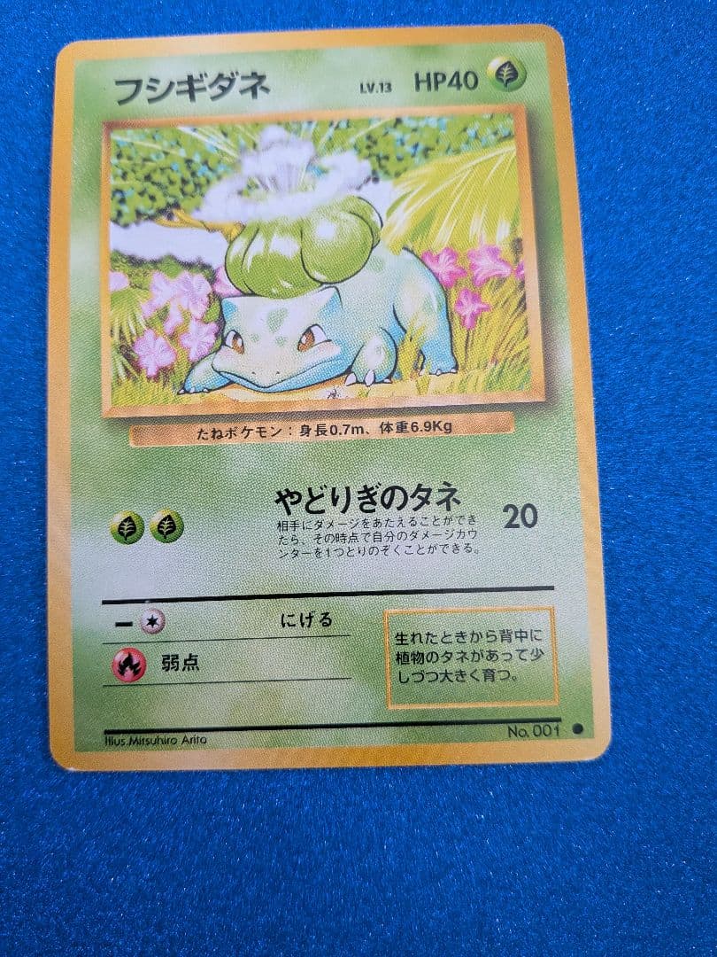 フシギダネ HP40 No.001　旧裏