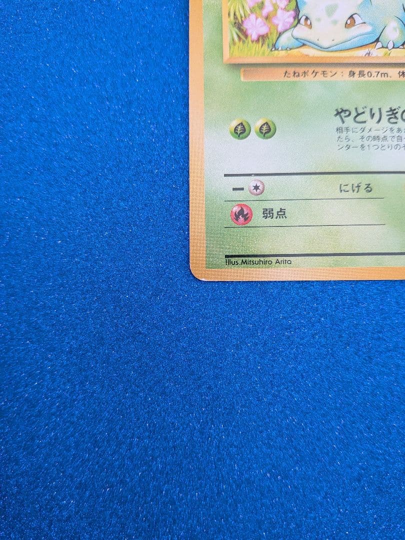 フシギダネ HP40 No.001　旧裏