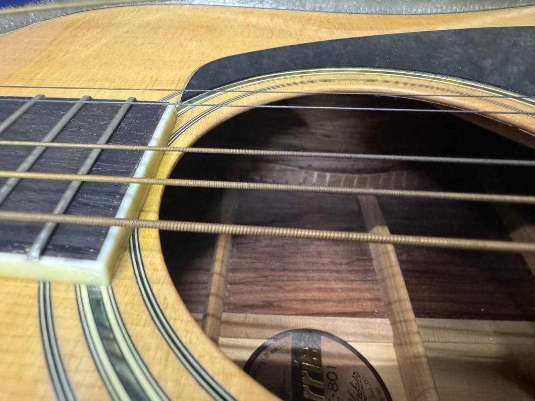 MORRIS TF-801 アコースティックギター