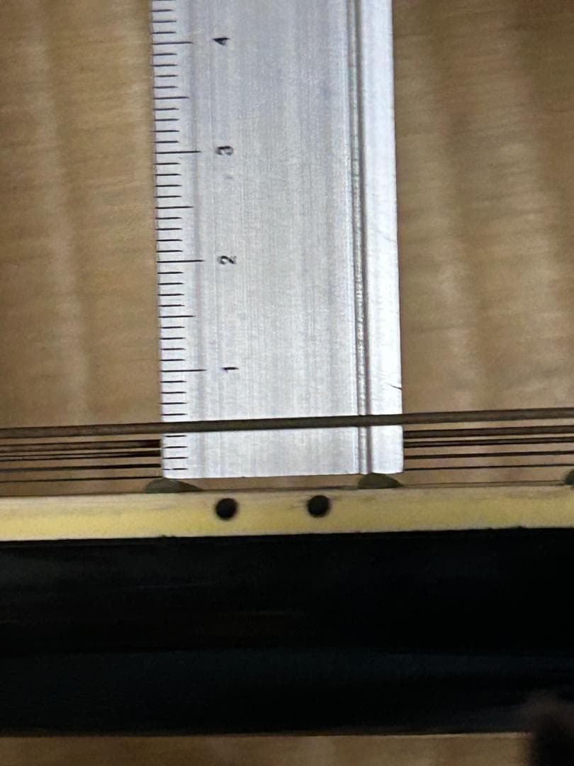 最*人様 FERNANDES LIMITED　EDITION　 現状