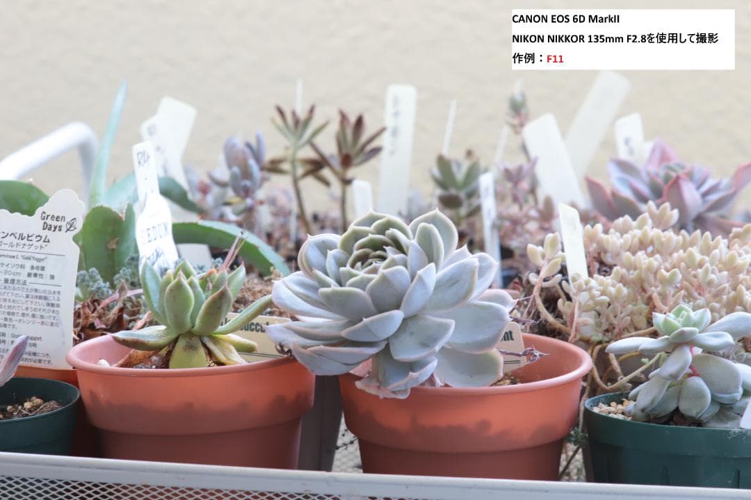 【動作OK】ニコン (Ai-s)Nikon NIKKOR 135mm F2.8