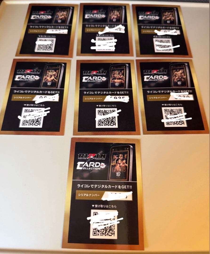 【非売品】 RIZIN Award 10th Anniversary