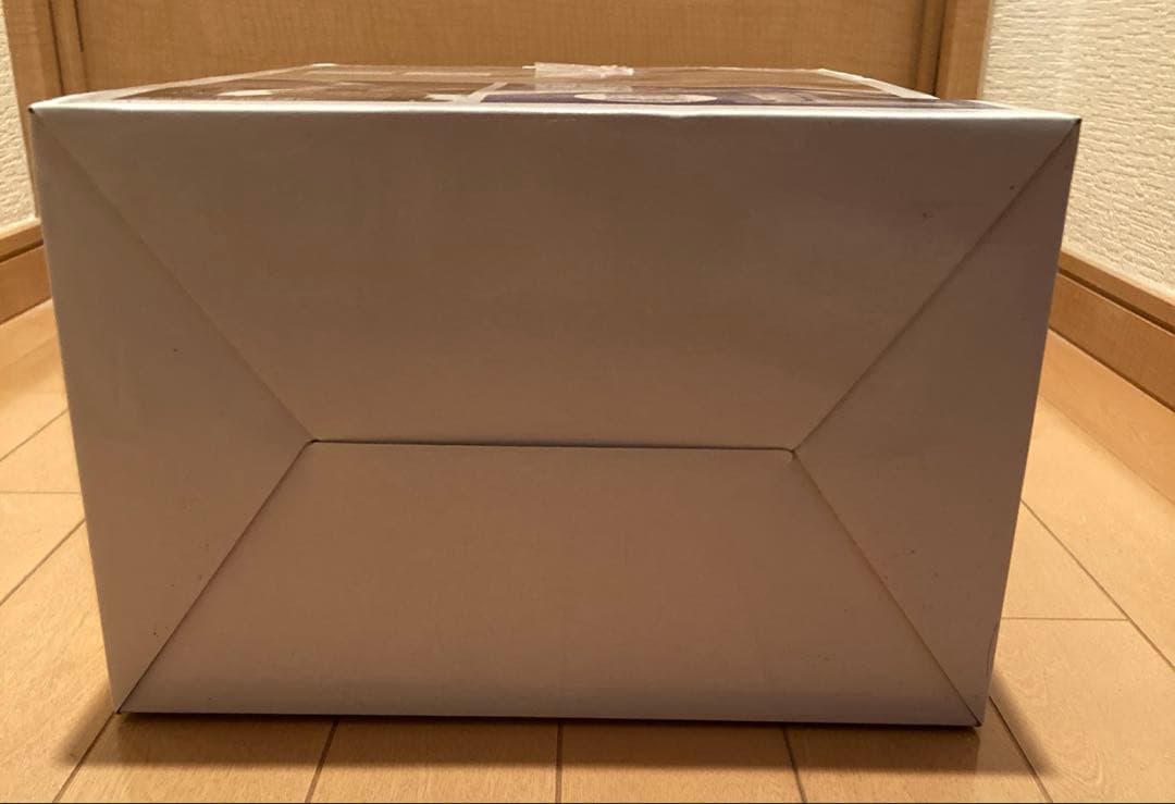 アイリスオーヤマ　IRIS OHYAMA RNS-300リンサークリーナー