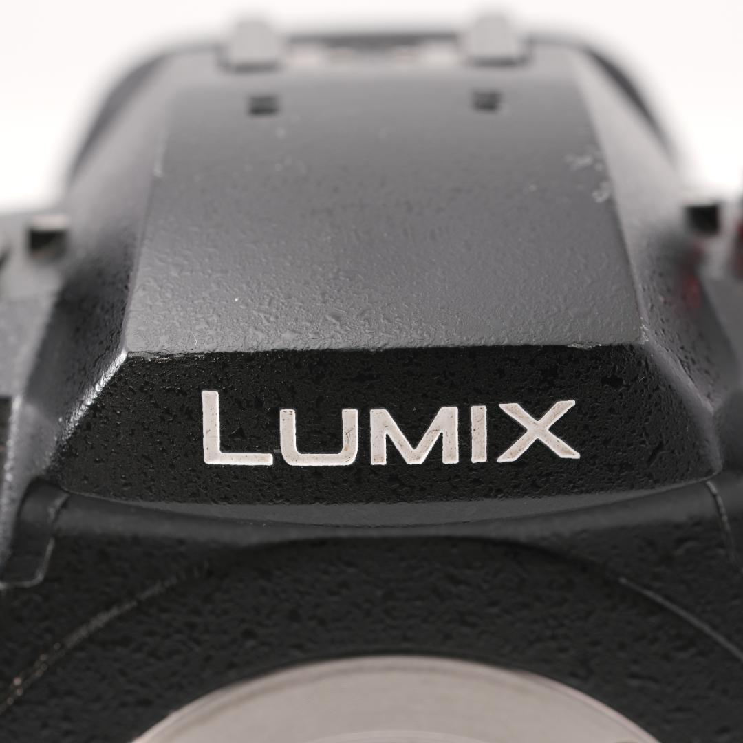 デジタルカメラ Panasonic Lumix DC-GH5S