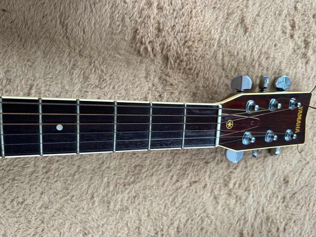 週末割引 ハードケース付 YAMAHA FG-251 アコースティック ヤマハ