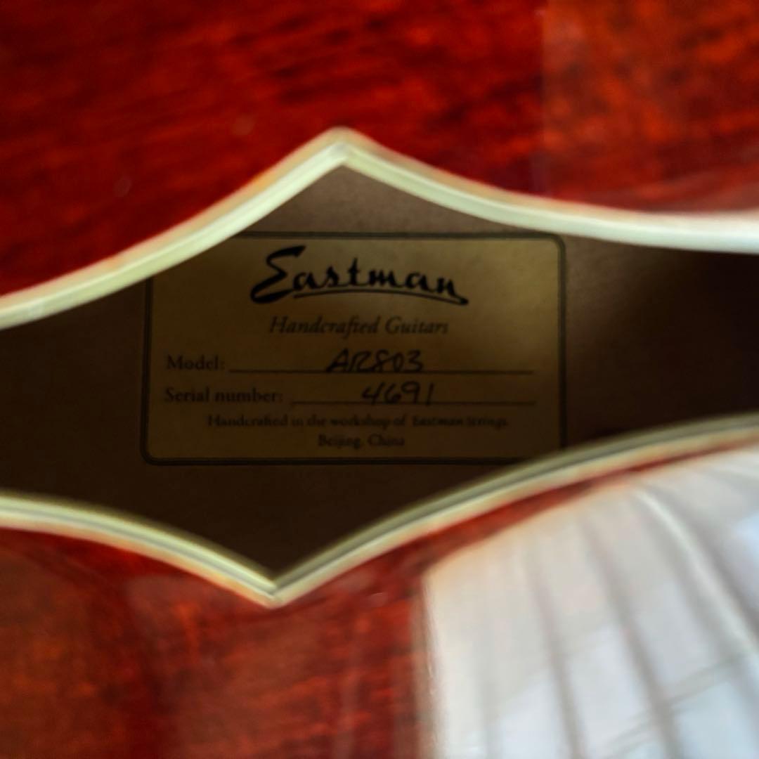希少 Eastman AR803ce-16