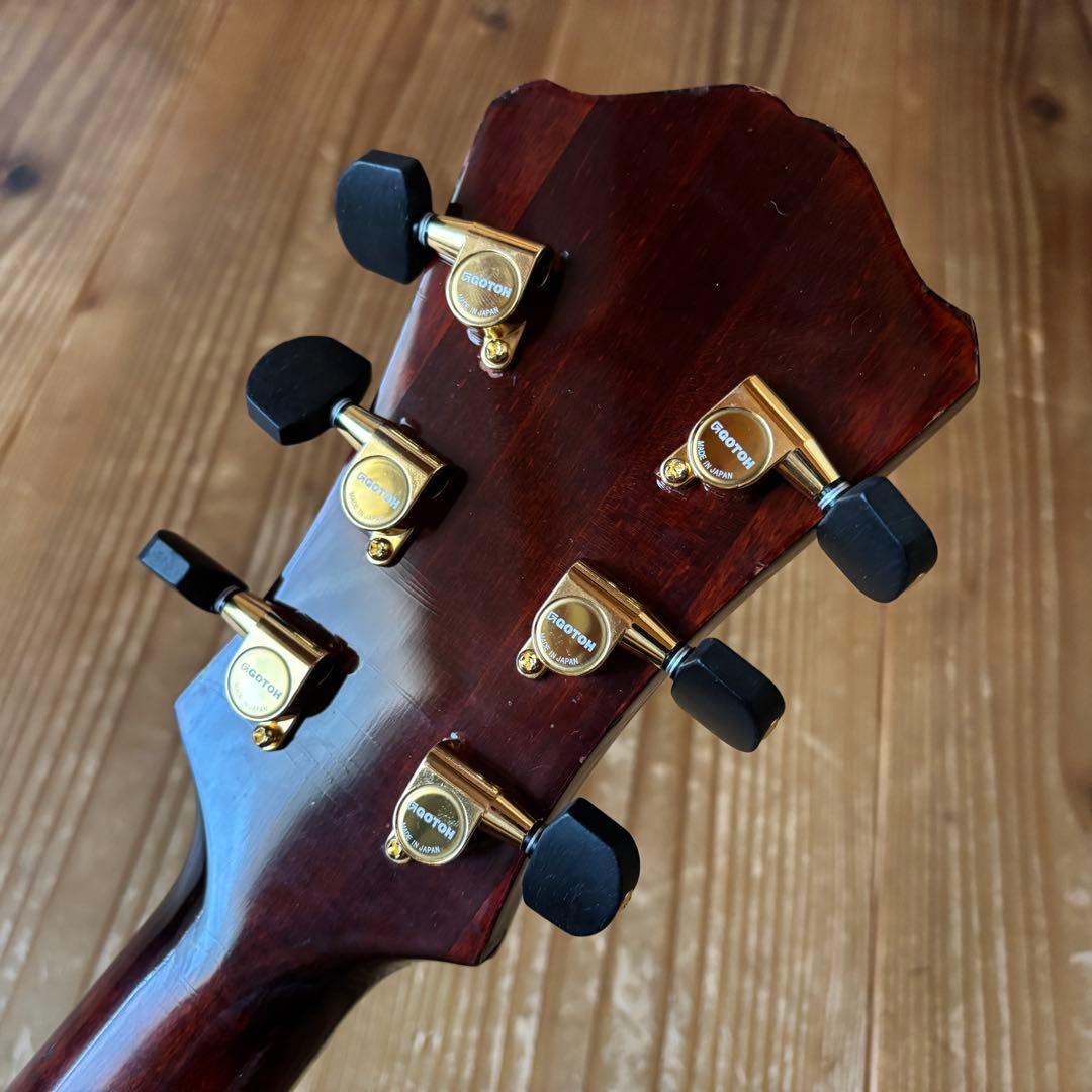 希少 Eastman AR803ce-16