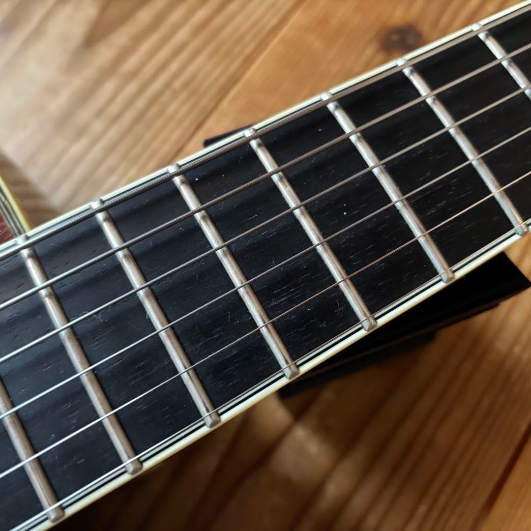 希少 Eastman AR803ce-16