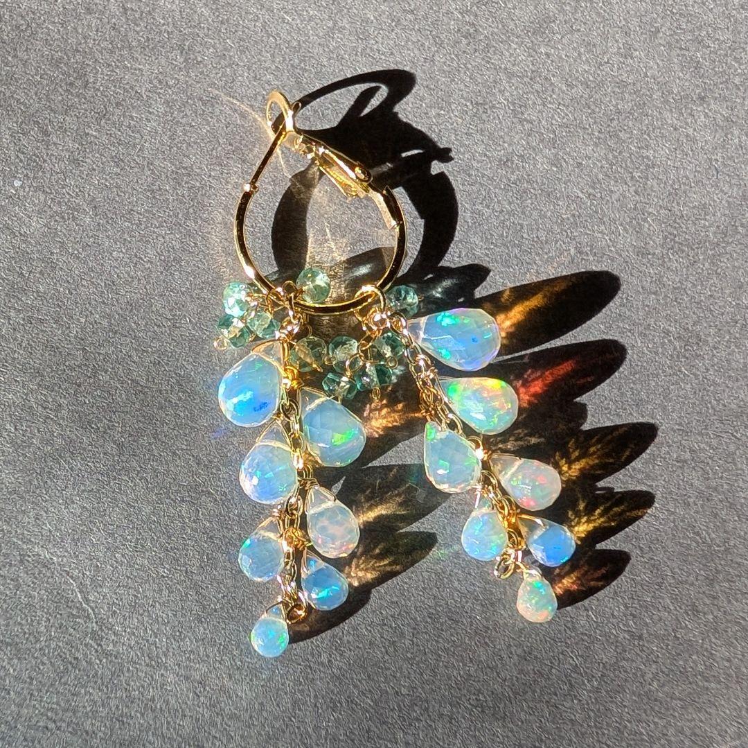 フォッシルコーラル ピアス