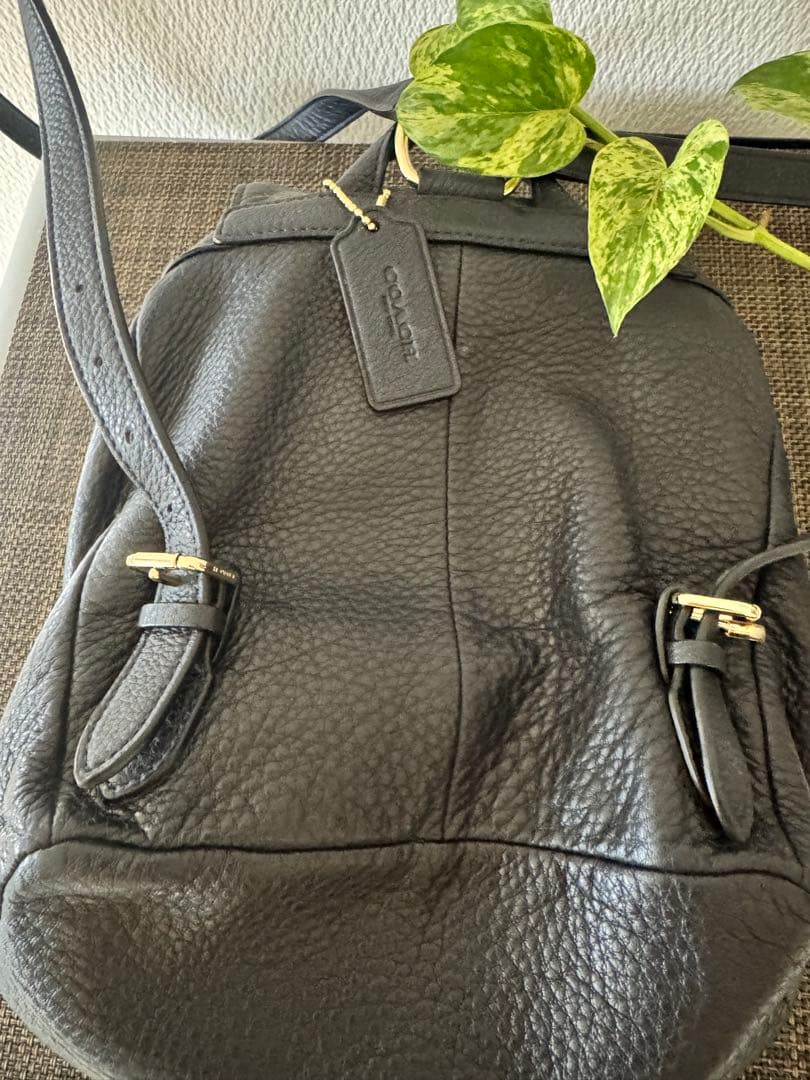 COACH本革ミニリュック