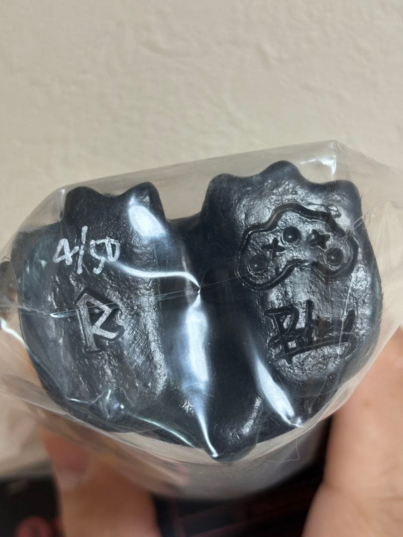 羅本製所 スーフェス ROBINCERAMICSTUDIO Copiapoa