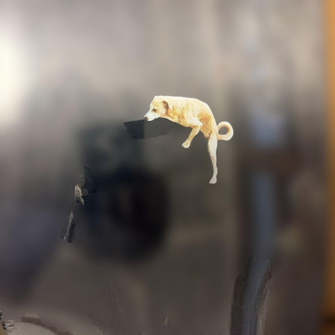 Supreme Anti-Hero スケートボードデッキ ９.１インチ　未開封