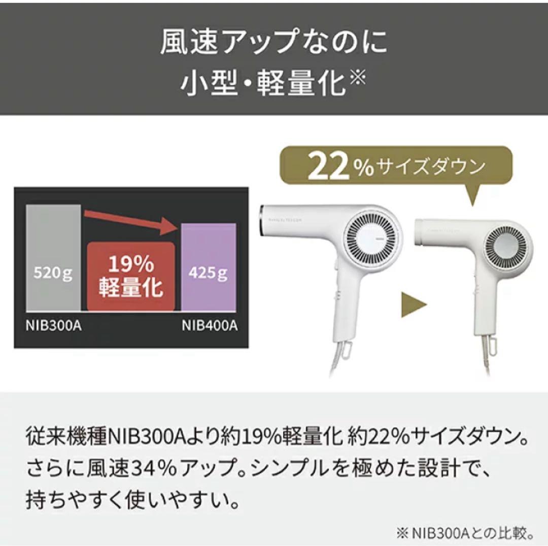 テスコム NIB400A-H プロフェッショナル プロテクトイオン ドライヤー