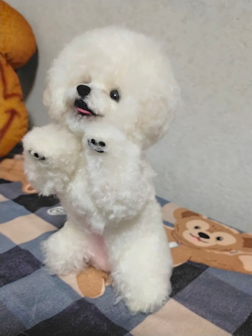 渡邉真由美♡招きワンコちょうだいポーズ。