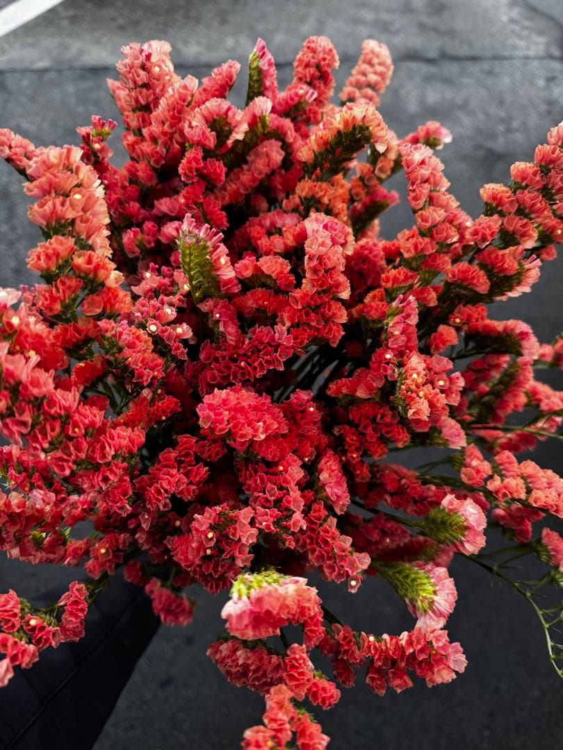 苺様 リクエスト 3点 まとめ商品