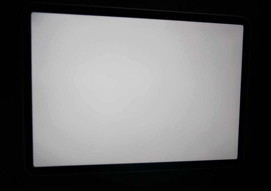 iPad Pro 11インチ 1世代 256GB wifiモデル シルバー