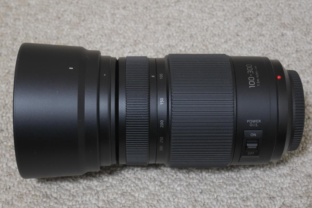 【カキフライ】LUMIX G VARIO 100-300mm
